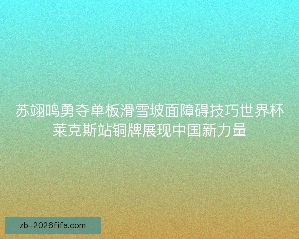 苏翊鸣勇夺单板滑雪坡面障碍技巧世界杯莱克斯站铜牌展现中国新力量